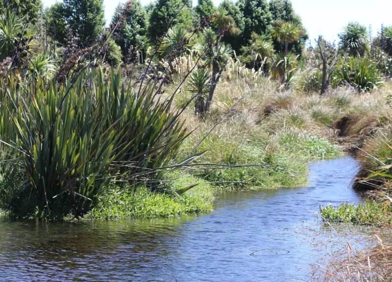 Water Quality Monitoring